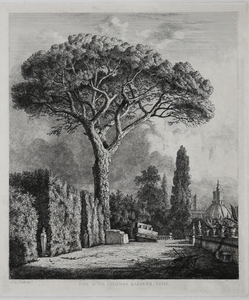 Pino nei giardini di Casa Colonna, Roma – Jacob George Strutt – 1840