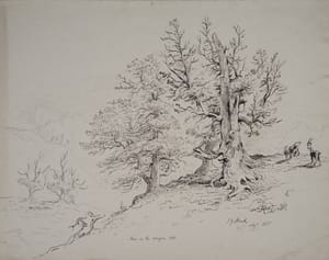 Pines on the Wengern Alp - Swiss – Jacob George Strutt – 1835