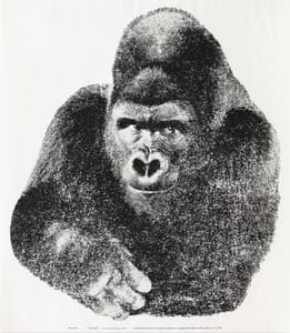 Il Gorilla – Enzo Mari – 1976-2000 – Enzo Mari, Il Gorilla, Silkscreen, Serigraph