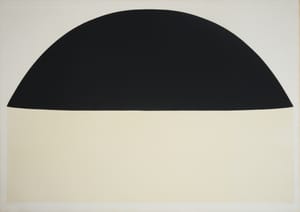 Bianco e Nero – Alberto Burri – 1971