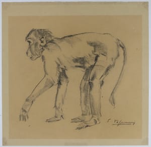 Study of a monkey – Sirio Tofanari – 1920 ca – Sirio Tofanari, drawing, sculpture
