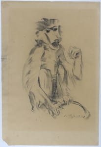 Study of a monkey – Sirio Tofanari – 1920 ca – Sirio Tofanari, pencil, drawing, sculpture