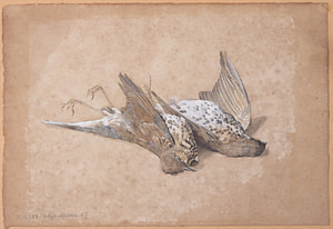 Birds – Sabine Lepsius – 1928